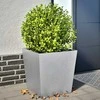 Sodo loveliai, 2vnt., 50x50x50cm, galvanizuotas plienas