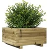 Sodo lovelis, 50x50x26,5cm, impregnuota pušies mediena