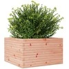 Sodo lovelis, 80x80x45,5cm, douglas eglės medienos masyvas