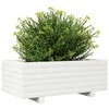 Sodo lovelis, baltas, 70x40x26,5cm, pušies medienos masyvas