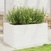 Sodo lovelis, baltas, 90x60x45,5cm, pušies medienos masyvas