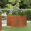Aukštas sodo lovelis, rūdžių, 100x100x77cm, Corten plienas