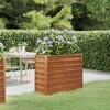 Aukštas sodo lovelis, rūdžių, 100x40x77cm, Corten plienas