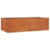 Aukštas sodo lovelis, rūdžių, 160x80x45cm, Corten plienas