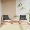 Sodo sofos dalys su pagalvėlėmis, 2vnt., 63,5x73x78cm, pušis