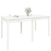 Sodo stalas, baltas, 159,5x82,5x76cm, pušies medienos masyvas