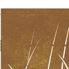 Sodo vartai, 85x150cm, corten plienas, žolės dizaino