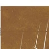 Sodo vartai, 85x175cm, corten plienas, žolės dizaino