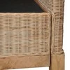 Sofa Sofų komplektas su pagalvėlėmis, 2 d., natūralus ratanas