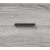 Spintelė batams, pilka ąžuolo, 102x36x60cm, apdirbta mediena