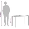 Stalas su stikliniu stalviršiu, pilkas, 115x54x74cm, PE ratanas