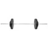 Štanga ir svarmenys su svoriais, 60kg