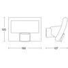 Steinel Sensorinis XLed curved prožektorius, baltas