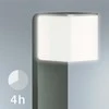 Steinel Jutiklinis šviestuvas GL 80 LED IHF CUBO, antr. sp., 055479