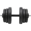 Svarmuo su svoriais, 40kg