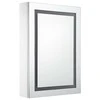 Veidrodinė vonios spintelė su LED apšvietimu, 50x13x70cm
