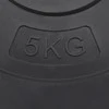 Svoriai, 4vnt., cementas, 30kg