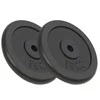 Svoriai, 2vnt., 2x15kg, ketus