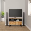 TV staliukas Televizoriaus spintelė, 70x33x46cm, mango medienos masyvas