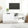 TV staliukas Televizoriaus spintelė, balta, 80x35x36,5cm, apdirbta mediena