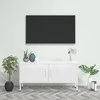 TV staliukas Televizoriaus spintelė, baltos spalvos, 105x35x50cm, plienas