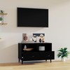 TV staliukas Televizoriaus spintelė, juodos spalvos, 80x36x50cm, mediena