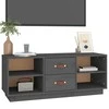 TV staliukas Televizoriaus spintelė, pilka, 100x34x40cm, pušies masyvas