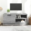 TV staliukas Televizoriaus spintelė, pilka, 80x35x36,5cm, apdirbta mediena