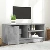 TV staliukas Televizoriaus spintelė, pilka, 80x35x36,5cm, apdirbta mediena