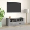 TV staliukas Televizoriaus spintelė, pilka ąžuolo, 100x35x40cm, mediena