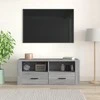 TV staliukas Televizoriaus spintelė, pilka ąžuolo, 100x35x40cm, mediena