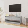 TV staliukas Televizoriaus spintelė, pilka ąžuolo, 102x41x44cm, mediena