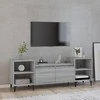 TV staliukas Televizoriaus spintelė, pilka ąžuolo, 160x35x55cm, mediena