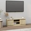 TV staliukas Televizoriaus spintelė su durelėmis, ąžuolo, 102x30x36cm
