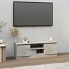 TV staliukas Televizoriaus spintelė su durelėmis, betono pilka, 102x30x36cm