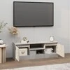 TV staliukas Televizoriaus spintelė su durelėmis, betono pilka, 102x30x36cm