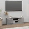 TV staliukas Televizoriaus spintelė su durelėmis, pilka ąžuolo, 102x30x36cm