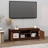 TV staliukas Televizoriaus spintelė su durelėmis, ruda ąžuolo, 102x30x36cm