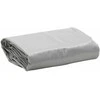 Tentas, pilkos spalvos, 2,5x4,5m, 650g/m²