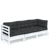 Trivietė sodo sofa su antracito pagalvėlėmis, pušies masyvas