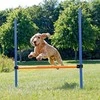 TRIXIE Agility kliūtis, 123x115 cm, plastikas, 3207