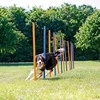 TRIXIE Agility Slalomo treniruoklis, 12 stulpų, 115 cm, plastikas, 3206