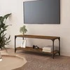 TV staliukas TV spintelė, dūminio ąžuolo, 100x33x41cm, mediena ir plienas