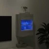 TV staliukas Sieninė TV spintelė su LED lemputėmis, pilka, 40x30x60,5cm