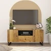 TV staliukas Televizoriaus spintelė, 105x33,5x46cm, mango/apdirbta mediena