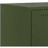 TV staliukas Televizoriaus spintelė, alyvuogių, 100,5x39x43,5cm, plienas