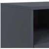TV staliukas Televizoriaus spintelė, antracito, 68x39x60,5cm, plienas