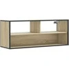 TV staliukas Televizoriaus spintelė, ąžuolo, 100x31x39,5cm, mediena/metalas