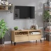 TV staliukas Televizoriaus spintelė, ąžuolo, 100x34,5x44,5cm, mediena