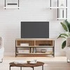 TV staliukas Televizoriaus spintelė, ąžuolo, 100x35x45cm, apdirbta mediena